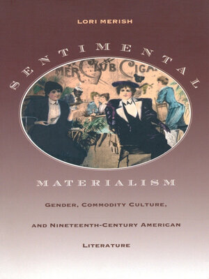 cover image of Sentimental Materialism